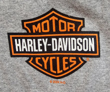 Load image into Gallery viewer, Men's HD B&S Zip-Up Grey Polyblend Hoodie (Support The Troops)