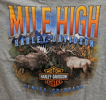 Load image into Gallery viewer, Men's B&S Gray Pocket Short Sleeve Shirt (POCKET T)