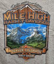 Load image into Gallery viewer, Men's Cowboy Long Sleeve Grey Shirt